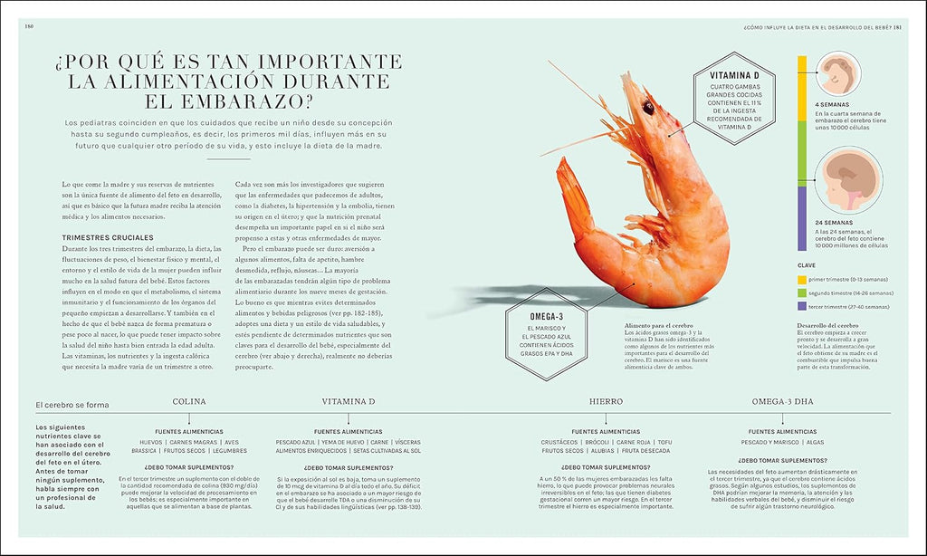 La ciencia de la nutrición: Conoce los falsos mitos de las dietas y aprende a comer bien