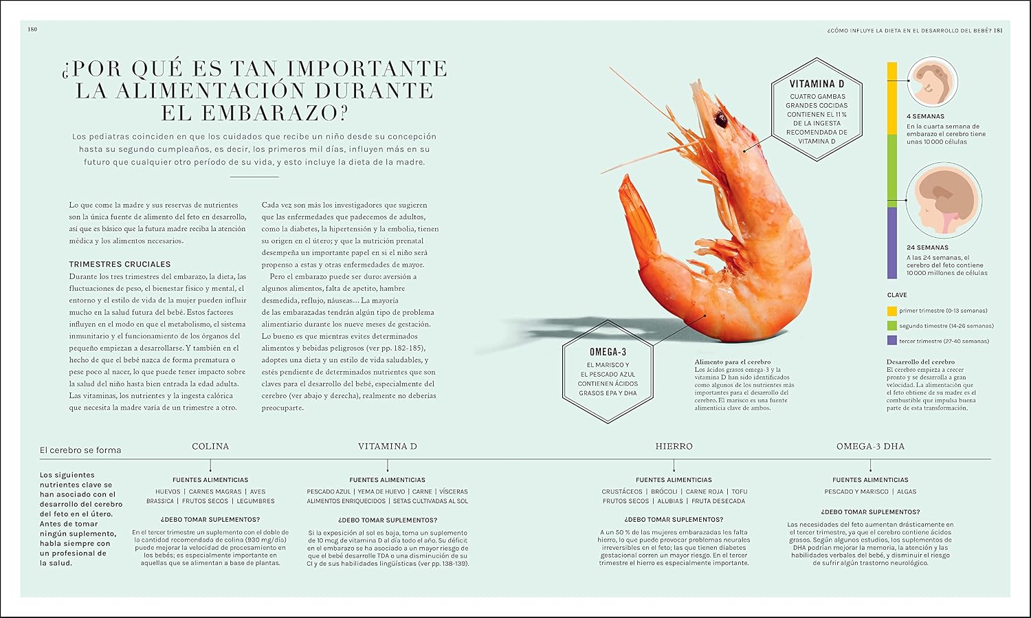 La ciencia de la nutrición: Conoce los falsos mitos de las dietas y aprende a comer bien