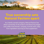 Natural Factors Pharma GABA - 60 Cápsulas Vegetarianas