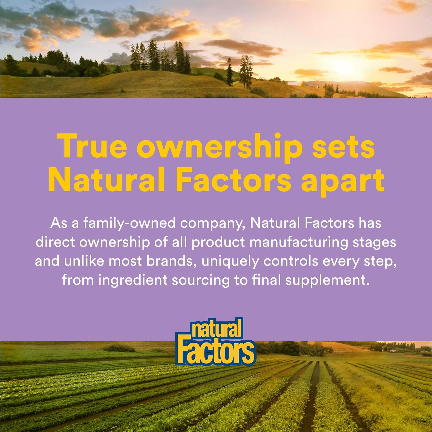 Natural Factors Pharma GABA - 60 Cápsulas Vegetarianas