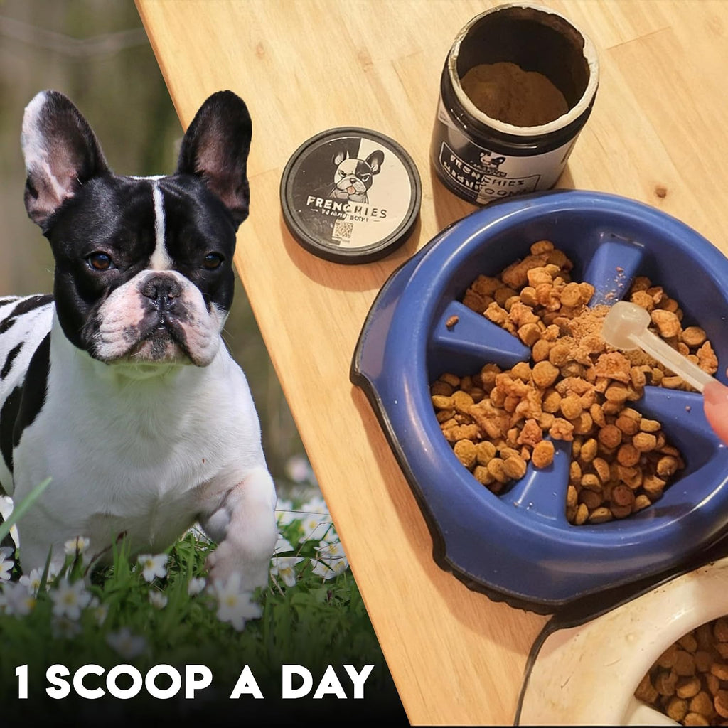 Frenchies vs Mushrooms - Turkey Tail Mushroom for Dogs, Omega-3 & Turmeric | Immune support Mushroom Supplement For Dogs. Helps with digestion, allergies, longevity, lumps & bumps. Frenchie optimized.