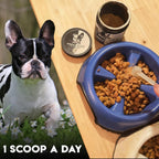 Frenchies vs Mushrooms - Turkey Tail Mushroom for Dogs, Omega-3 & Turmeric | Immune support Mushroom Supplement For Dogs. Helps with digestion, allergies, longevity, lumps & bumps. Frenchie optimized.