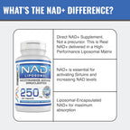 MAAC10 Liposomal NAD+ 500mg por dosis (2x250mg cápsulas) - 60 Cápsulas
