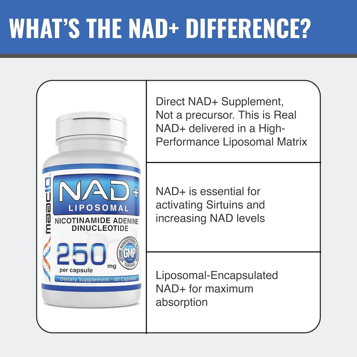 MAAC10 Liposomal NAD+ 500mg por dosis – Apoyo al metabolismo energético: El NAD+ es esencial para la producción de – Image 5