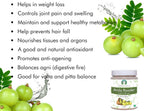 Polvo de Fruta de Amla (Amalaki) 100 g - AYURVEDASHREE