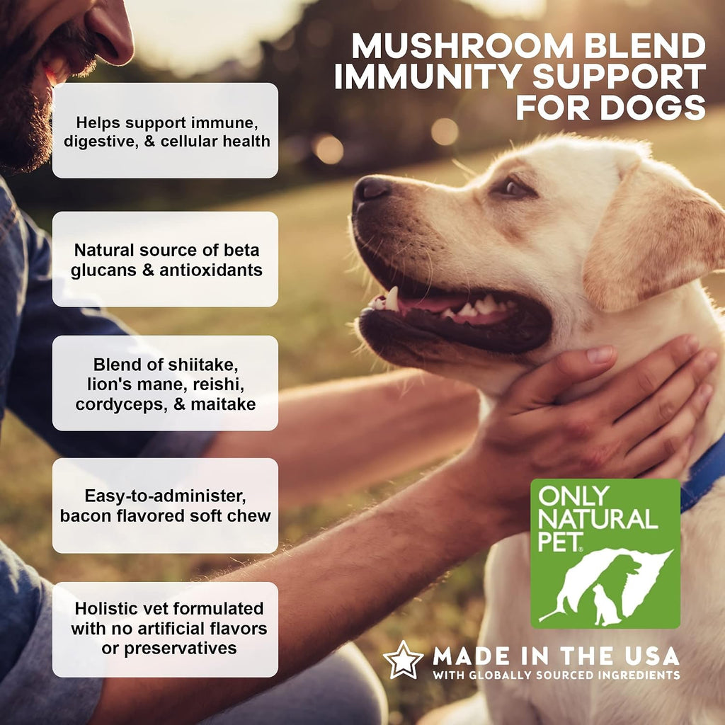 Only Natural Pet Mezcla de Hongos para Perros - Apoyo Inmunológico, Digestivo y Celular - 60 Gomitas Suaves Sabor Bacon