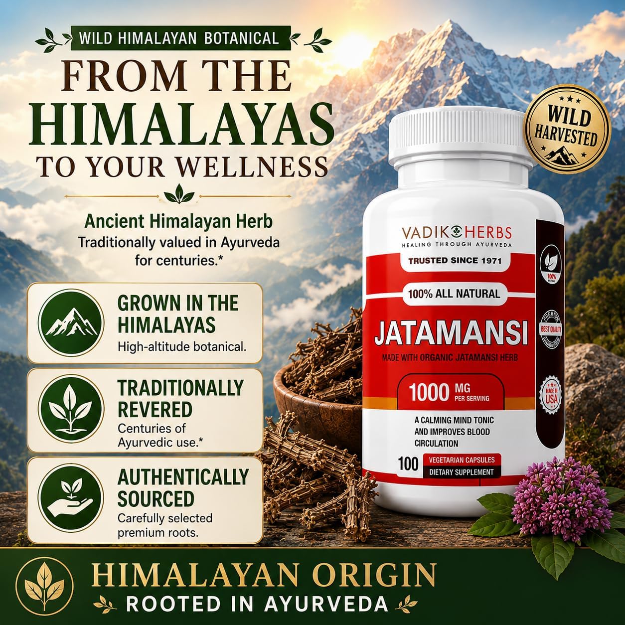 Vadik Herbs Jatamansi Cápsulas 1000mg – Raíz Orgánica de Jatamansi (Nardostachys jatamansi) – Hierba Ayurvédica para la Calma, Claridad y Sueño Reparador – 100 Cápsulas Vegetales – No Transgénico