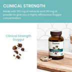 Himalaya Guggul Extract – 720 mg – 60 Cápsulas (Pack de 2)