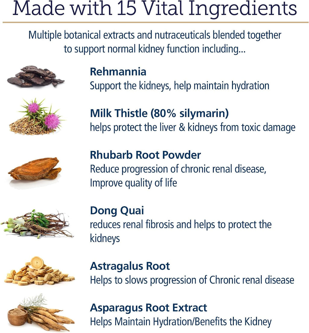 Rx Vitamins Rx Renal - Cápsulas de apoyo renal para perros con cardo mariano, té verde y cordyceps, 120 unidades