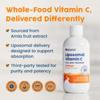 NativePath Vitamina C Liposomal 500 mg con Amla – Líquido Sabor Naranja, 30 Dosis