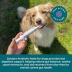 Zanipro Tratamiento para Diarrea en Perros - Alivio Rápido con Probióticos y Prebióticos, Sabor Cacahuete 30cc