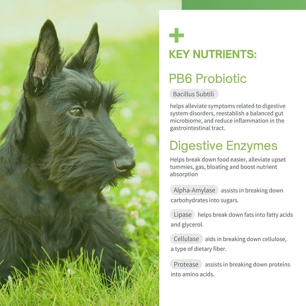 SensoVet Probióticos Avanzados para Perros con Enzimas Digestivas - Soft Chews