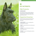 SensoVet Probióticos Avanzados para Perros con Enzimas Digestivas - Soft Chews