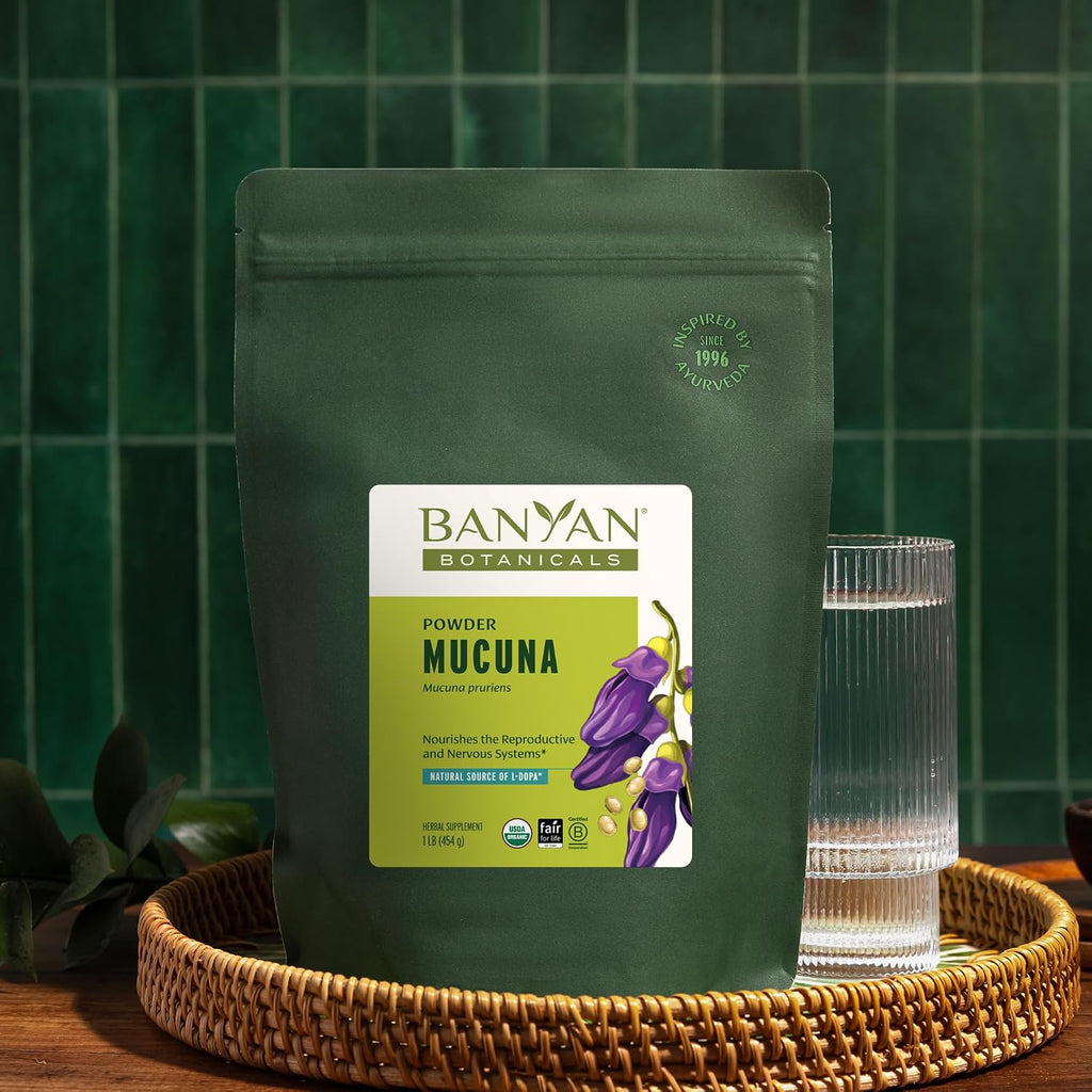 Banyan Botanicals Kapikacchu en polvo, 1 libra - USDA Orgánico - Mucuna pruriens