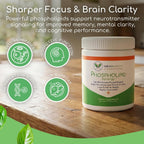 Return Healthy Phospholipid Synergy Powder - Antioxidante en Polvo para la Reparación Celular, 270 g