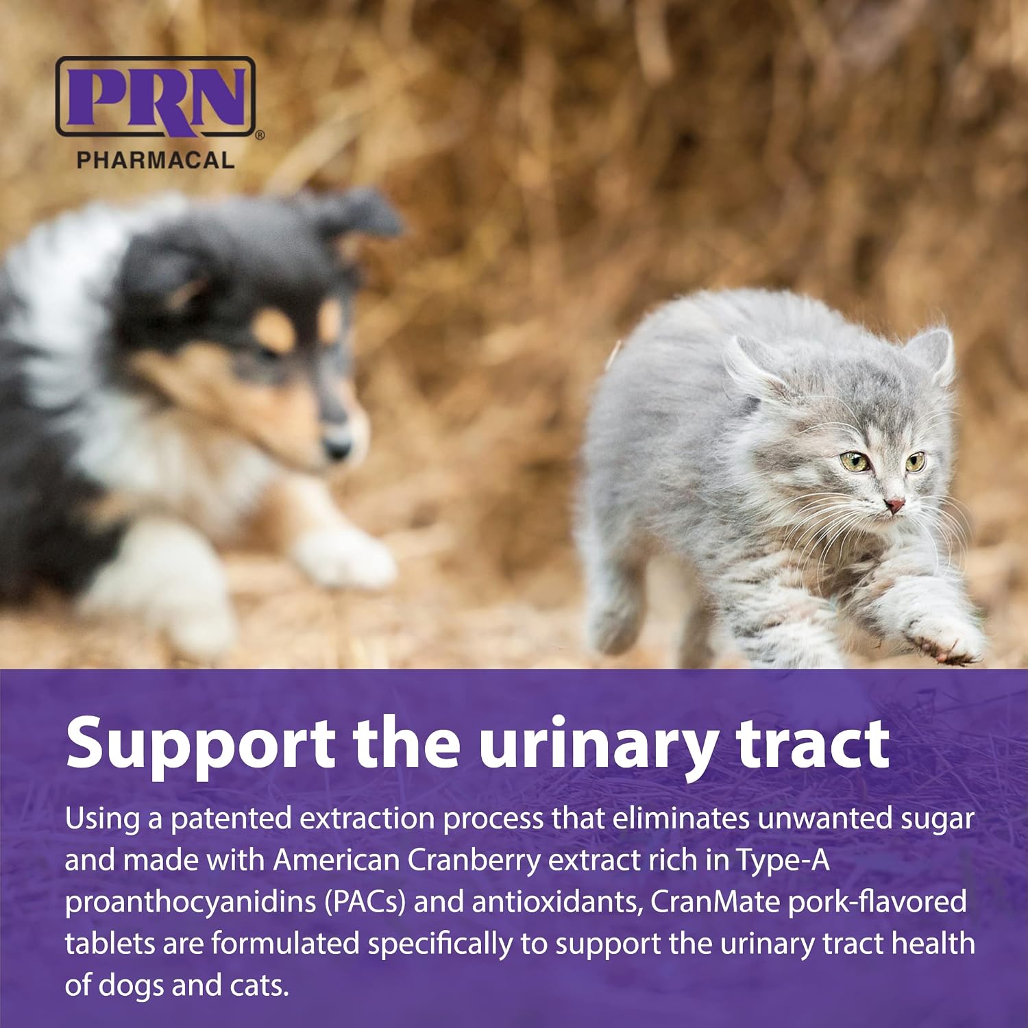 PRN Pharmacal CranMate - Suplemento de Arándano para Perros y Gatos - 60 Comprimidos Masticables