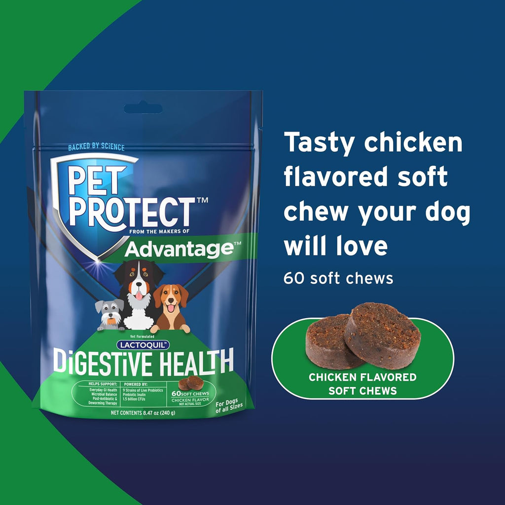 Suplemento para la Salud Digestiva con Probióticos para Perros, Lactoquil formulado por veterinarios, Golosinas blandas sabor a pollo (60 unidades)