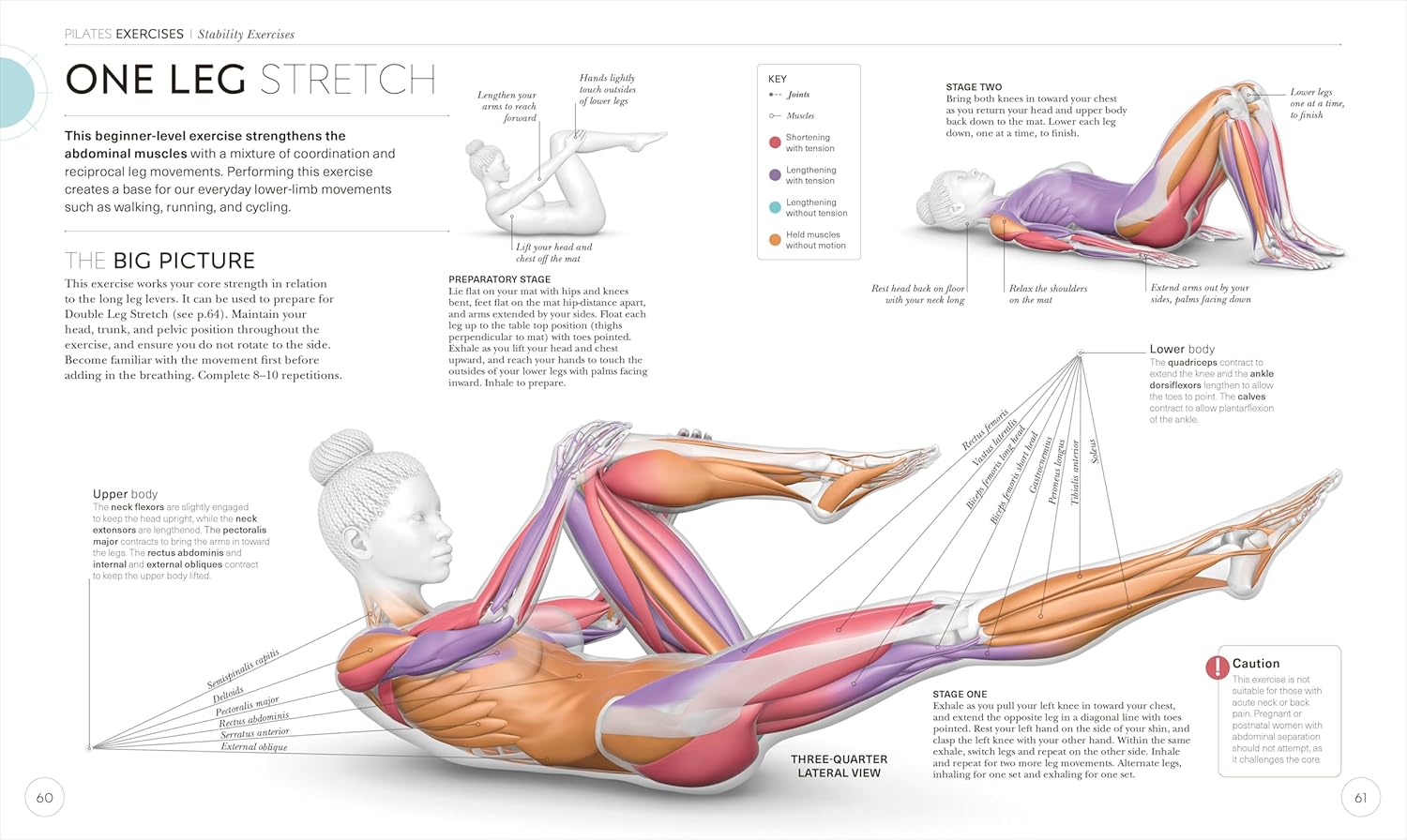 Science of Pilates: Comprende la Anatomía y Fisiología para Perfeccionar tu Práctica