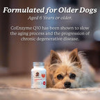 Dr. Harvey's Coenzyme Q10 - Suplemento de Apoyo Cardíaco y Cardiovascular para Perros, 60 Cápsulas