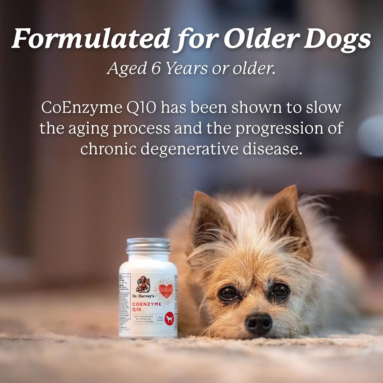 Dr. Harvey's Coenzyme Q10 - Suplemento de Apoyo Cardíaco y Cardiovascular para Perros, 60 Cápsulas