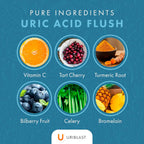 Uriblast Apoyo Natural al Ácido Úrico - Cápsulas (30 días)