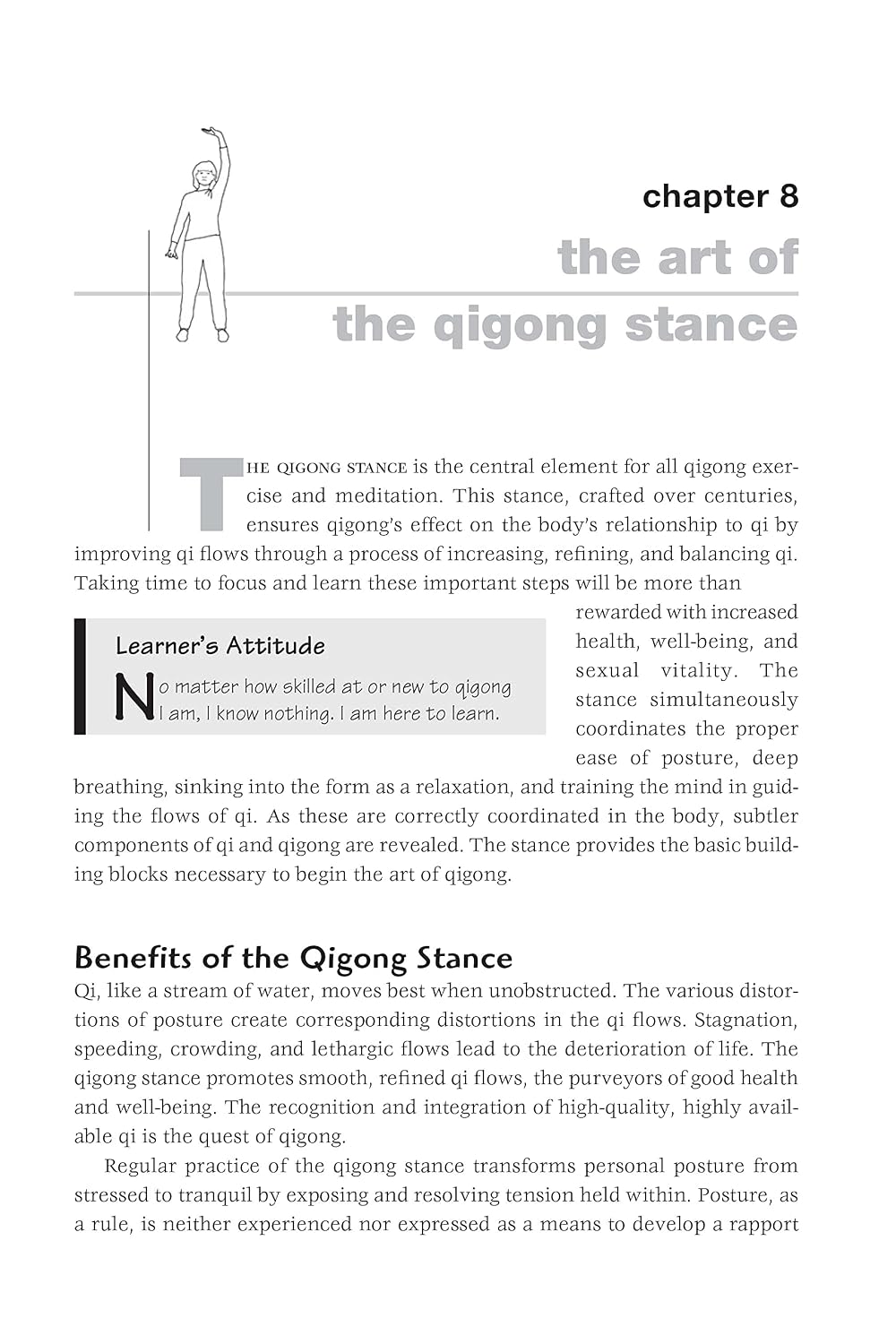 Qigong Basics: Posturas y Rutinas Básicas para la Salud y Relajación (Tuttle Specials)