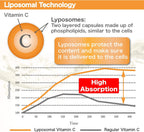 Complejo de Vitamina C Liposomal 1500 mg (2 Cápsulas) - 180 Cápsulas - Dr.Plus