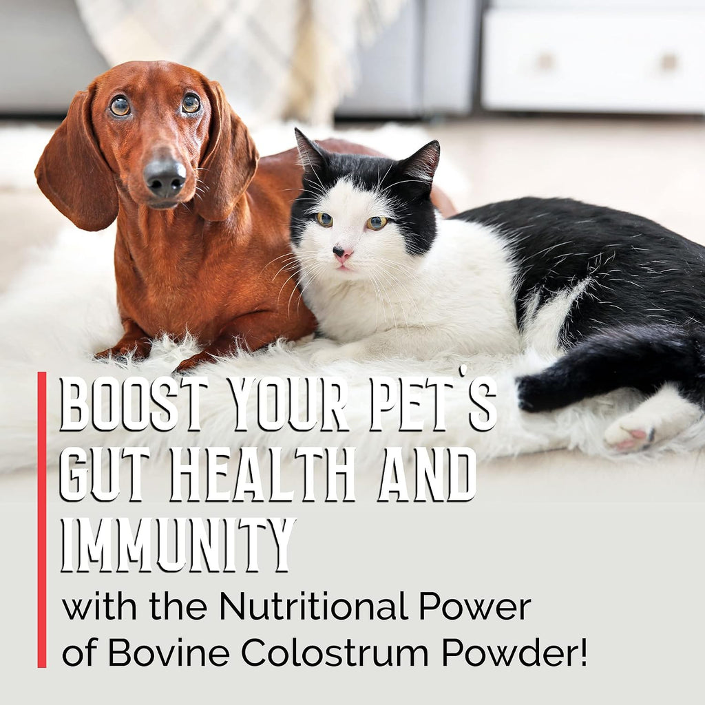 BodyBoost Calostro Bovino para Perros y Gatos - Suplemento Inmunitario Orgánico, Alivio de Alergias y Picazón, Salud Intestinal, Todas las Edades, 227 g