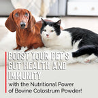 BodyBoost Calostro Bovino para Perros y Gatos - Suplemento Inmunitario Orgánico, Alivio de Alergias y Picazón, Salud Intestinal, Todas las Edades, 227 g