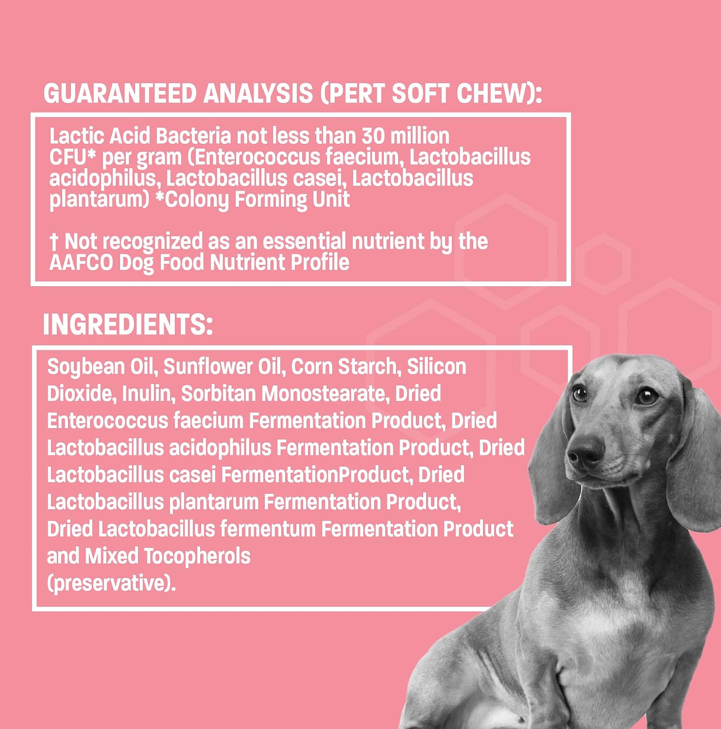 Pet Health Pros Pasta Probiótica Oral para Perros y Gatos - 30 cc