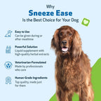 Pet Wellbeing Sneeze Ease for Dogs - Occasional Sneezing and Seasonal Allergy Relief - Vet-Formulated Herbal Supplement 2 oz (59 ml)