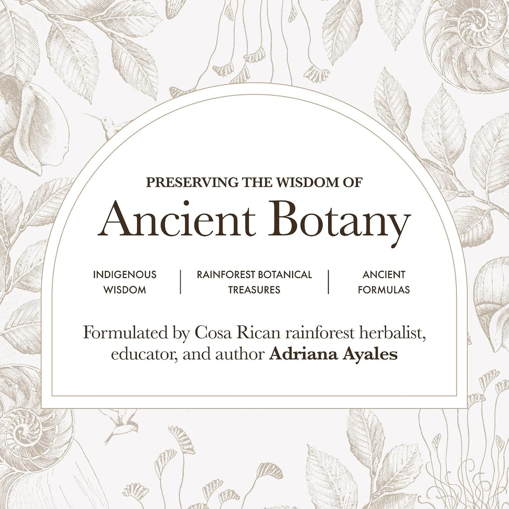Anima Mundi Apothecary Schisandra Rose Elixir - Elixir líquido de adaptógeno con bayas de Schisandra y pétalos de rosa silvestre (120 ml)