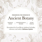 Anima Mundi Apothecary Schisandra Rose Elixir - Elixir líquido de adaptógeno con bayas de Schisandra y pétalos de rosa silvestre (120 ml)