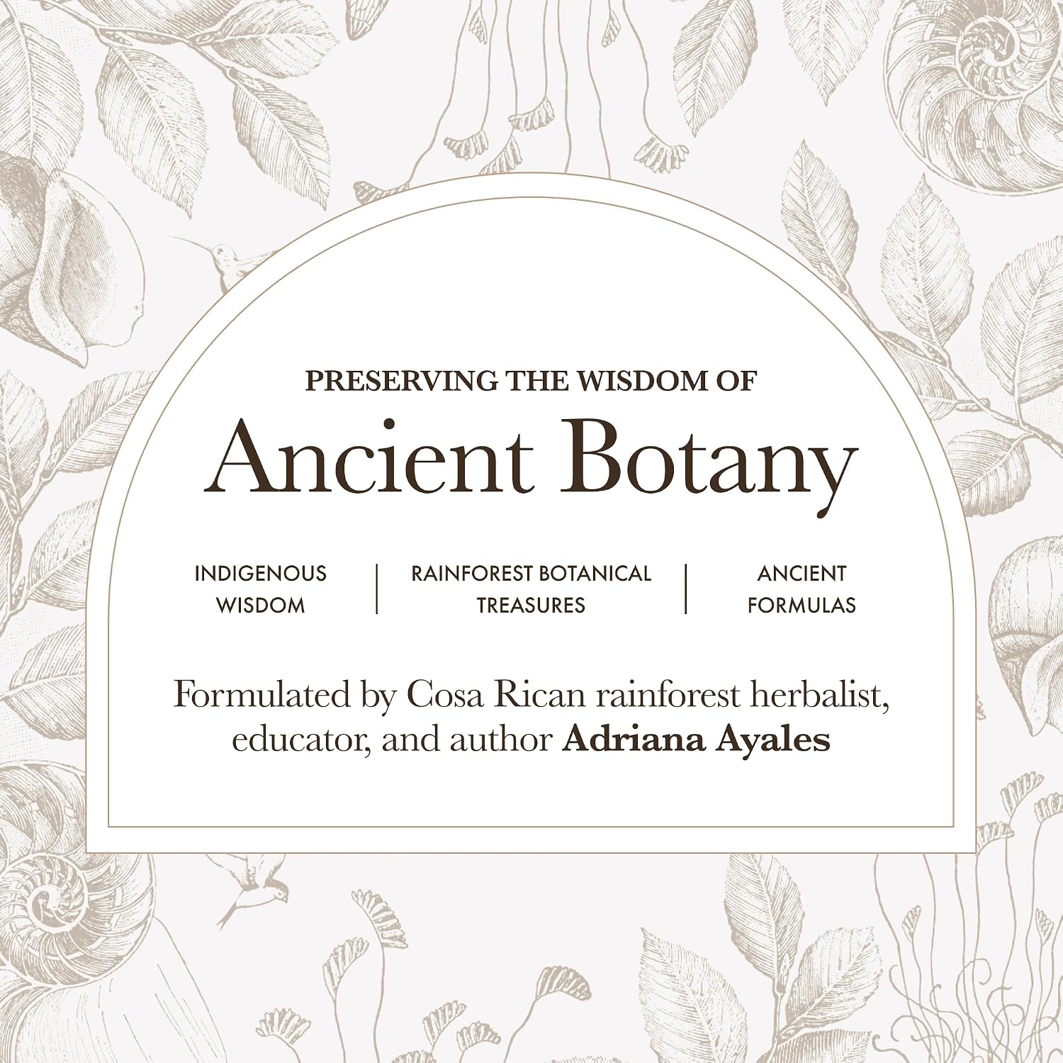 Anima Mundi Apothecary Schisandra Rose Elixir - Elixir líquido de adaptógeno con bayas de Schisandra y pétalos de rosa silvestre (120 ml)