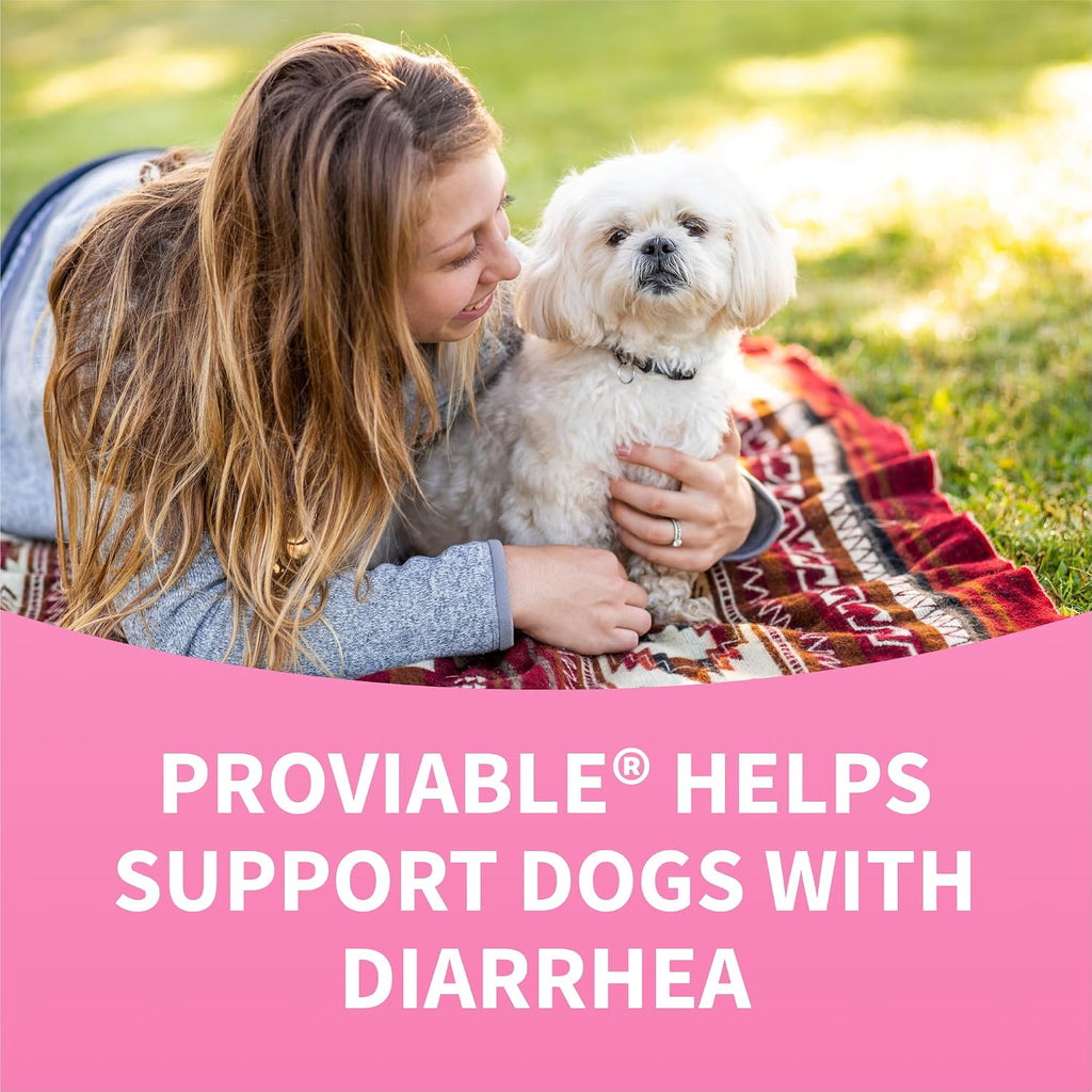 Nutramax Proviable Probióticos para Perros - 60 Comprimidos Masticables