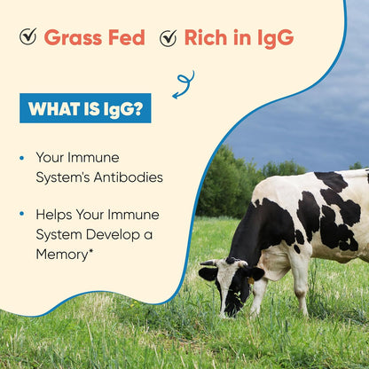 Sandhu's Calostro Bovino en Polvo Grass Fed para Humanos | 130 Servicios (Pack de 2) | Alto IgG para Salud Intestinal | – Image 4