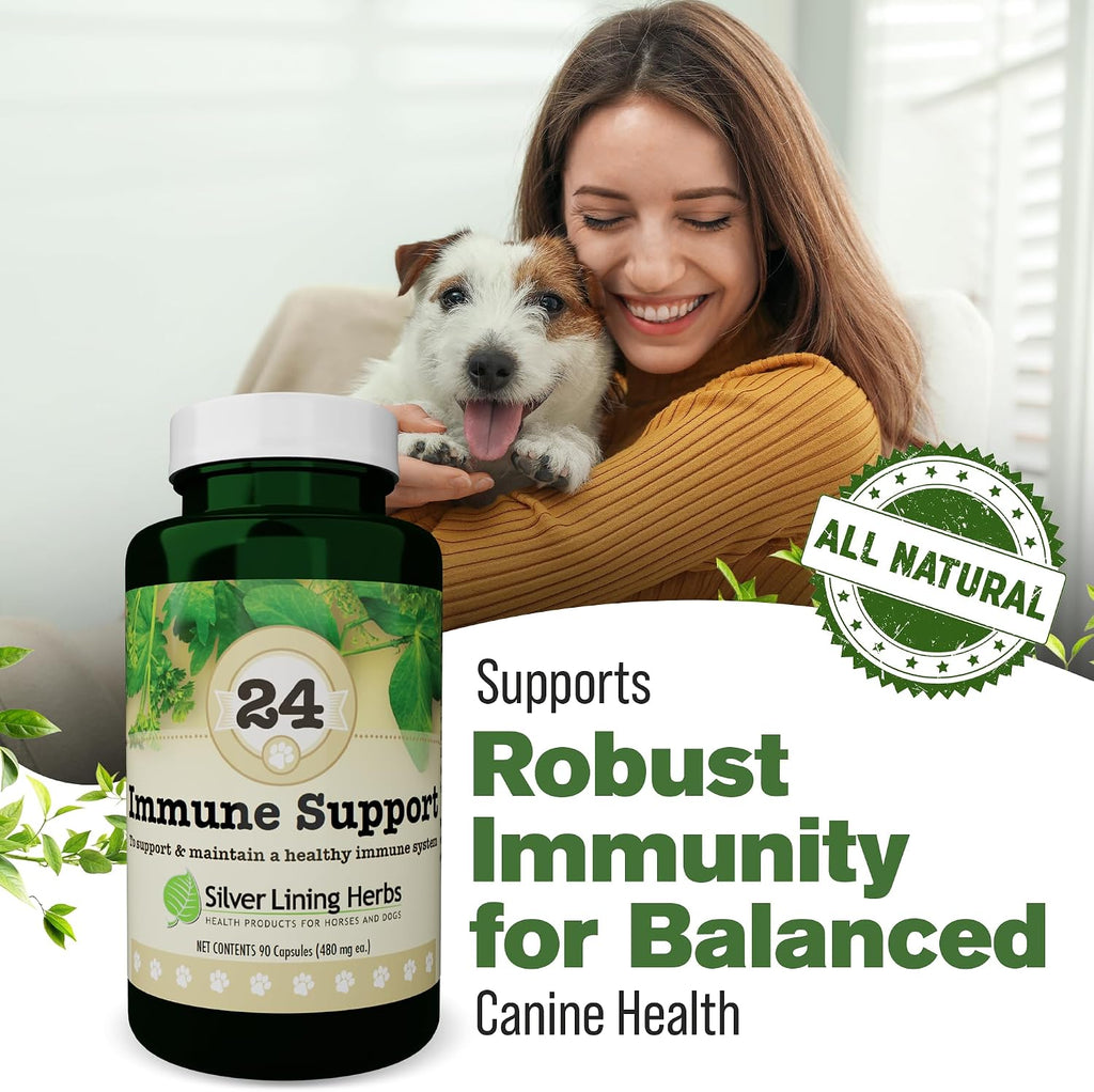 Silver Lining Herbs – Suplemento Inmunológico para Perros (90 Cápsulas)
