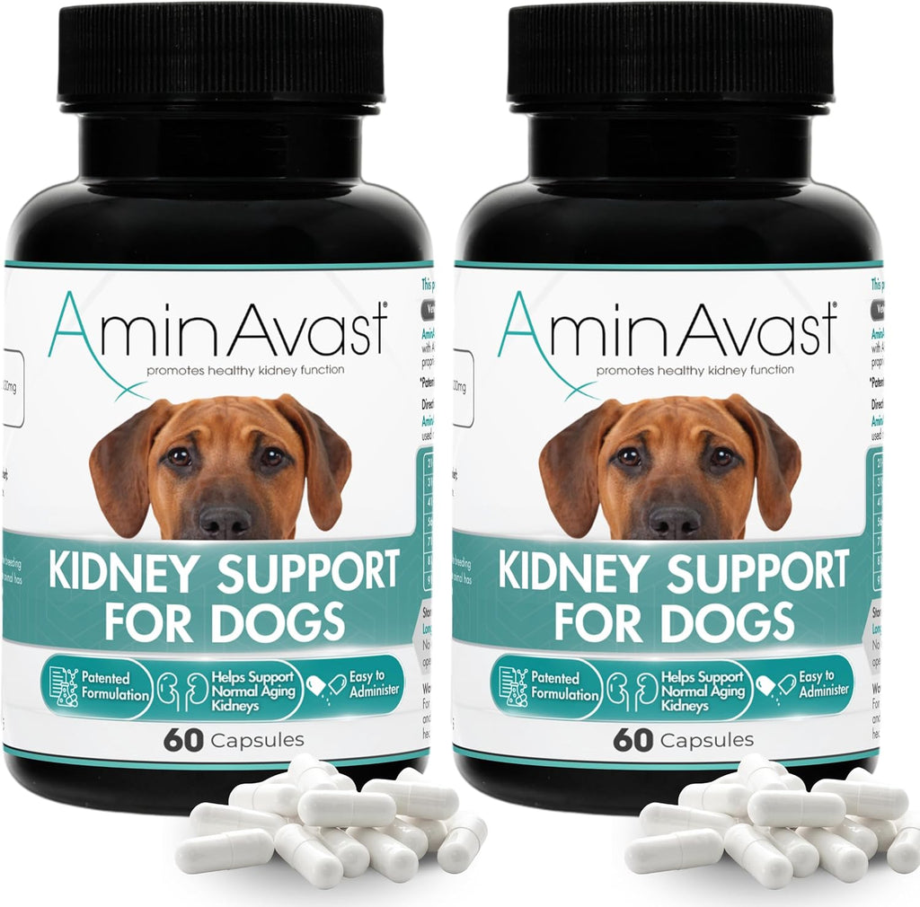 AminAvast Kidney Support Supplement for Dogs - 1000mg, 60 Sprinkle Capsules (2-Pack)