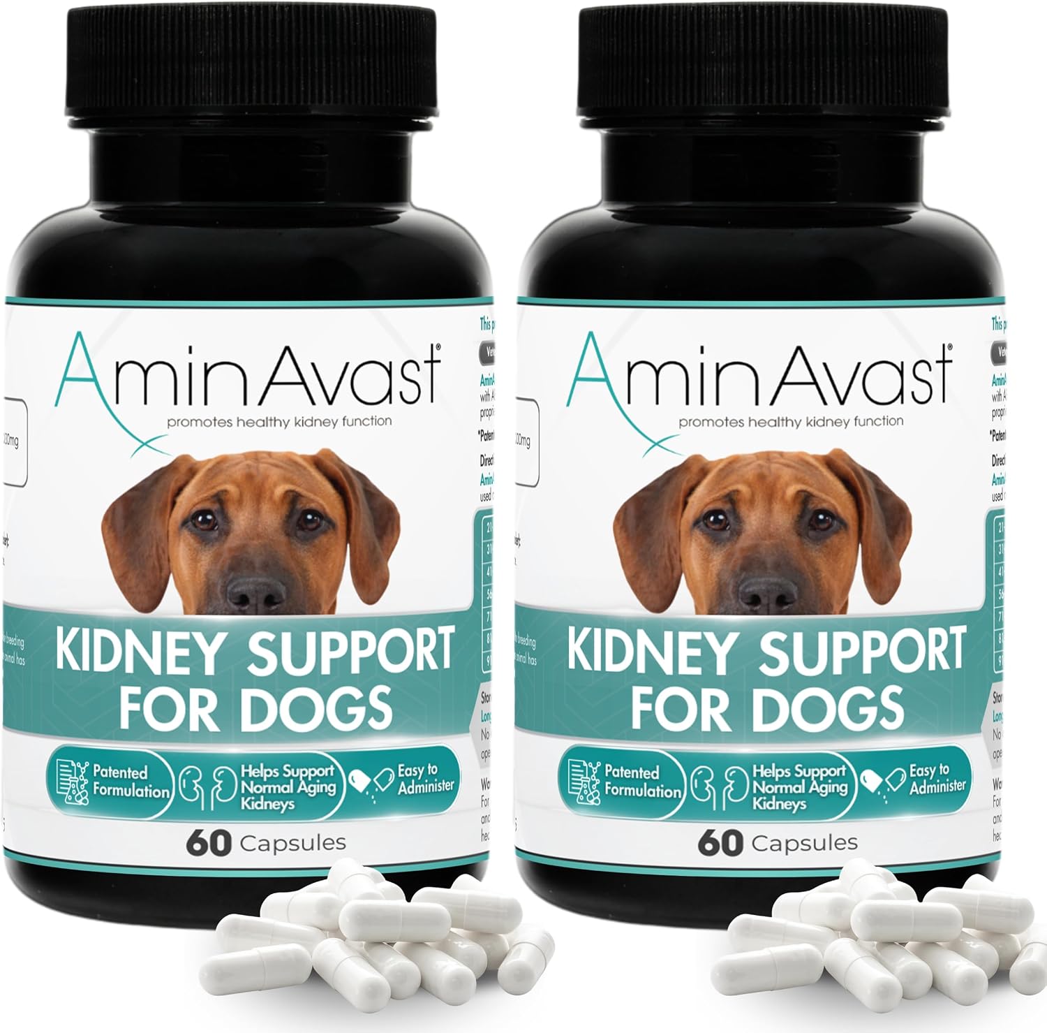 AminAvast Kidney Support Supplement for Dogs - 1000mg, 60 Sprinkle Capsules (2-Pack)