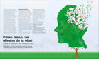 Cómo funciona el cerebro (How the Brain Works) (DK How Stuff Works)