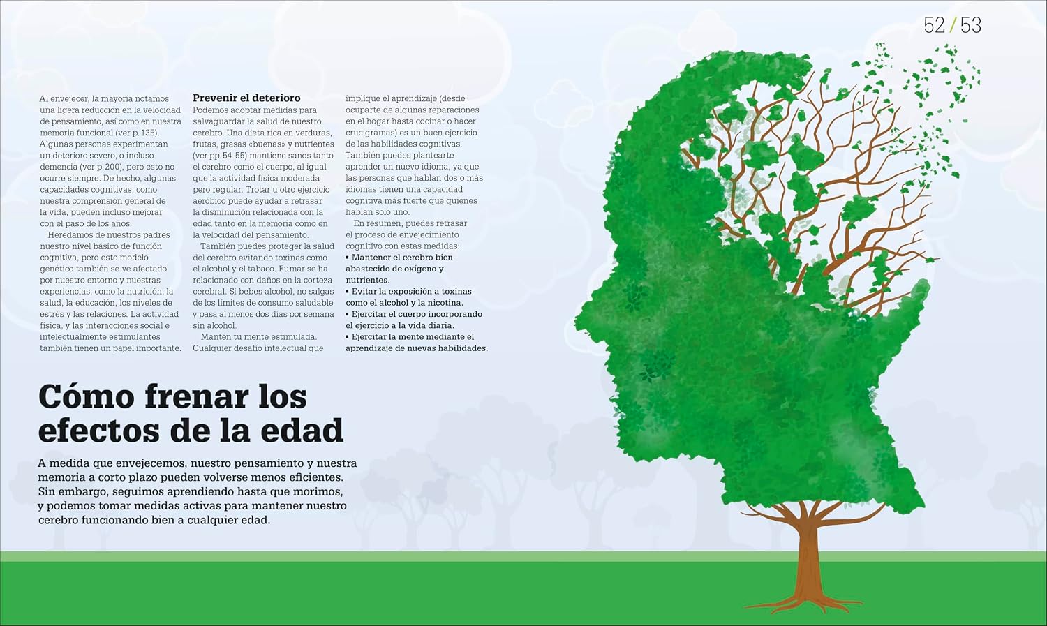 Cómo funciona el cerebro (How the Brain Works) (DK How Stuff Works)