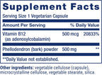 Life Extension Dopamine Advantage - Salud Cognitiva y Motivación - 30 Cápsulas
