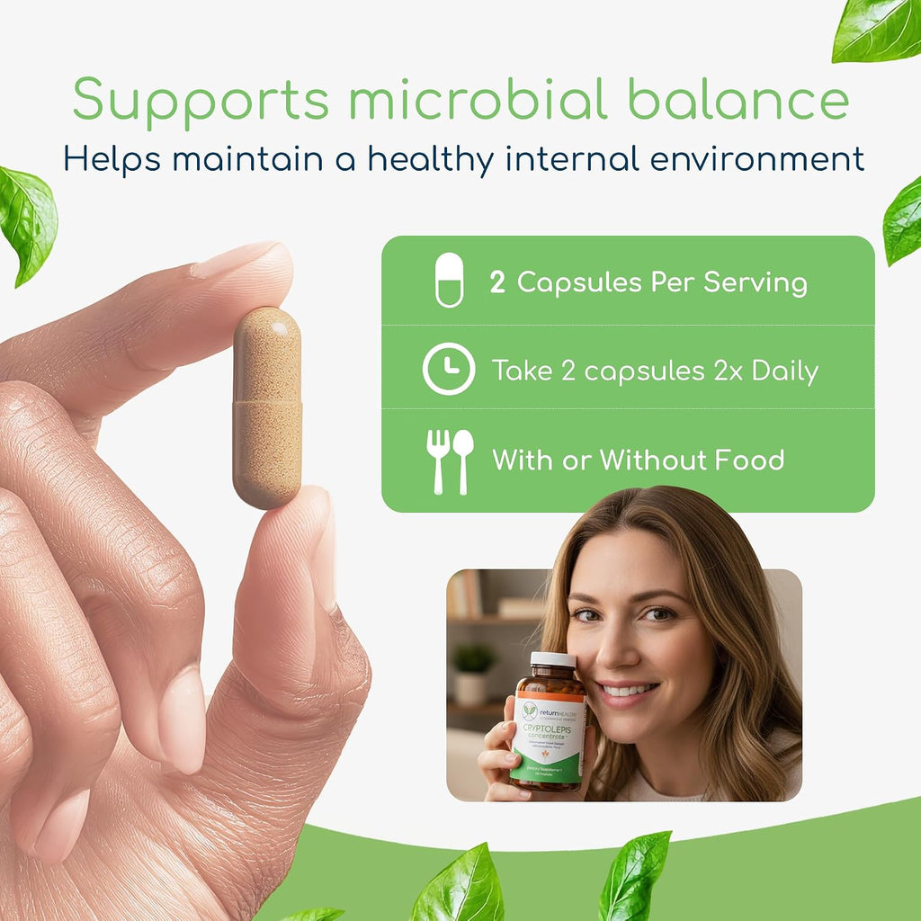 Return Healthy Cryptolepis Concentrate - 120 Cápsulas