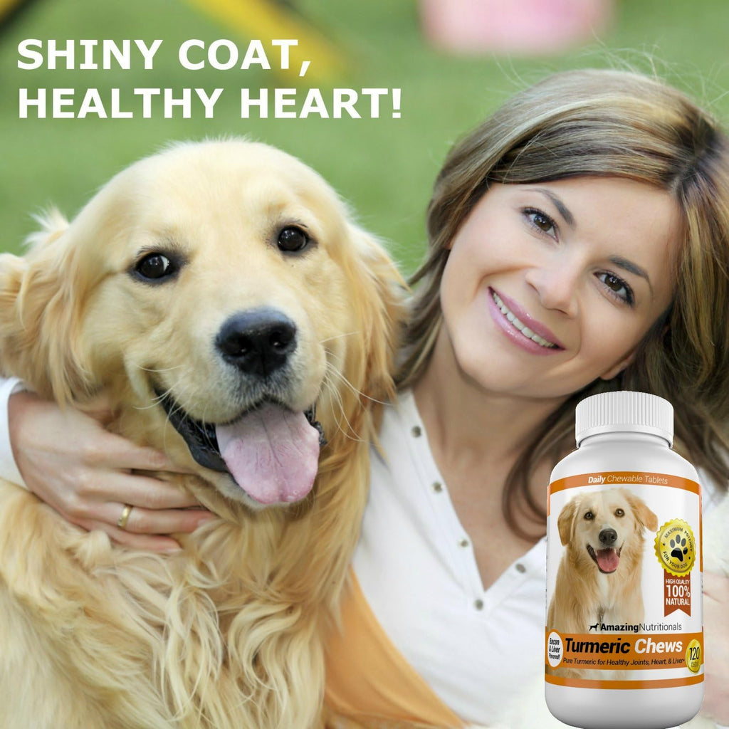Amazing Turmeric para Perros - Masticables Antioxidantes de Cúrcuma y Curcumina, 120 unidades