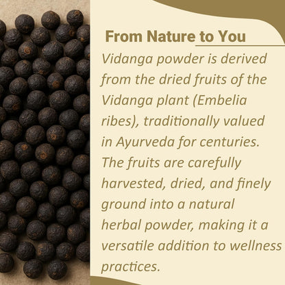 Minature Vidanga Powder (Embelia Ribes) - – Formar parte de fórmulas herbales complejas. – Image 2