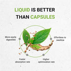 Secrets of the Tribe Extracto Líquido de Peonía Blanca sin Alcohol, 60 ml