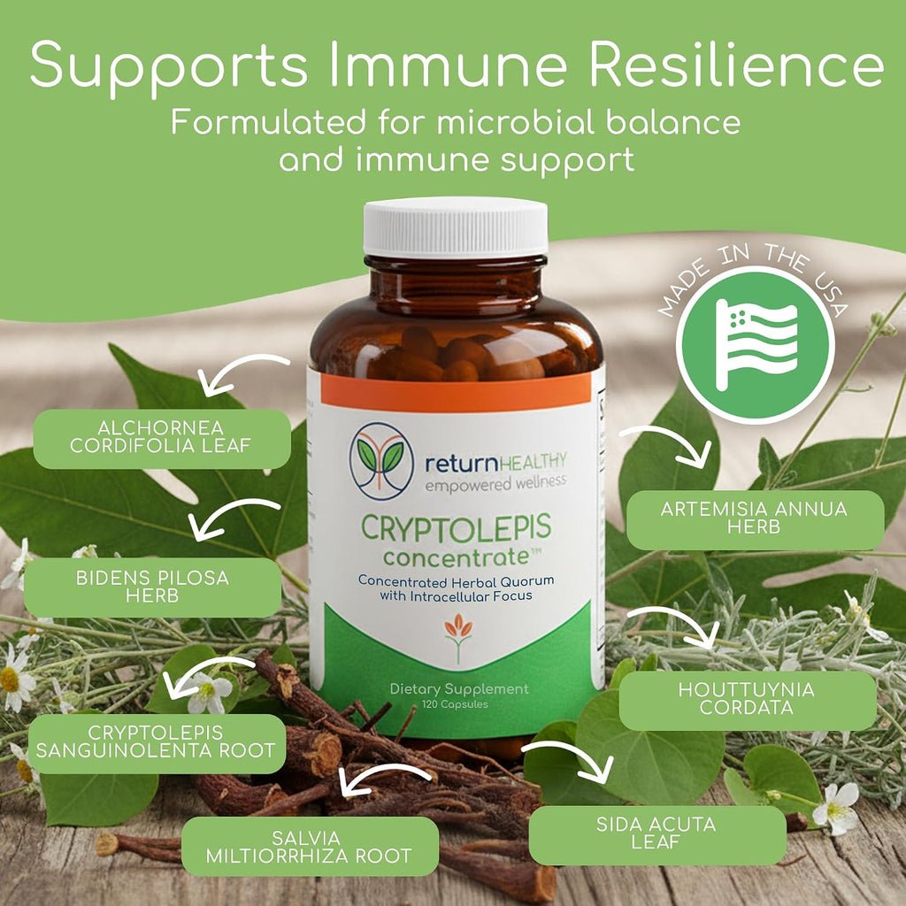 Return Healthy Cryptolepis Concentrate - 120 Cápsulas