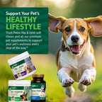 PetNC Natural Care - Masticables blandos Pre y Probióticos para perros sabor hígado y queso, 120 unidades