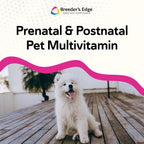 Breeder's Edge Breed to Wean – Multivitamínico prenatal y postnatal para perros y gatos (400 comprimidos)