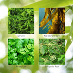 Nature's Sunshine Thyroid Activator 100 Cápsulas